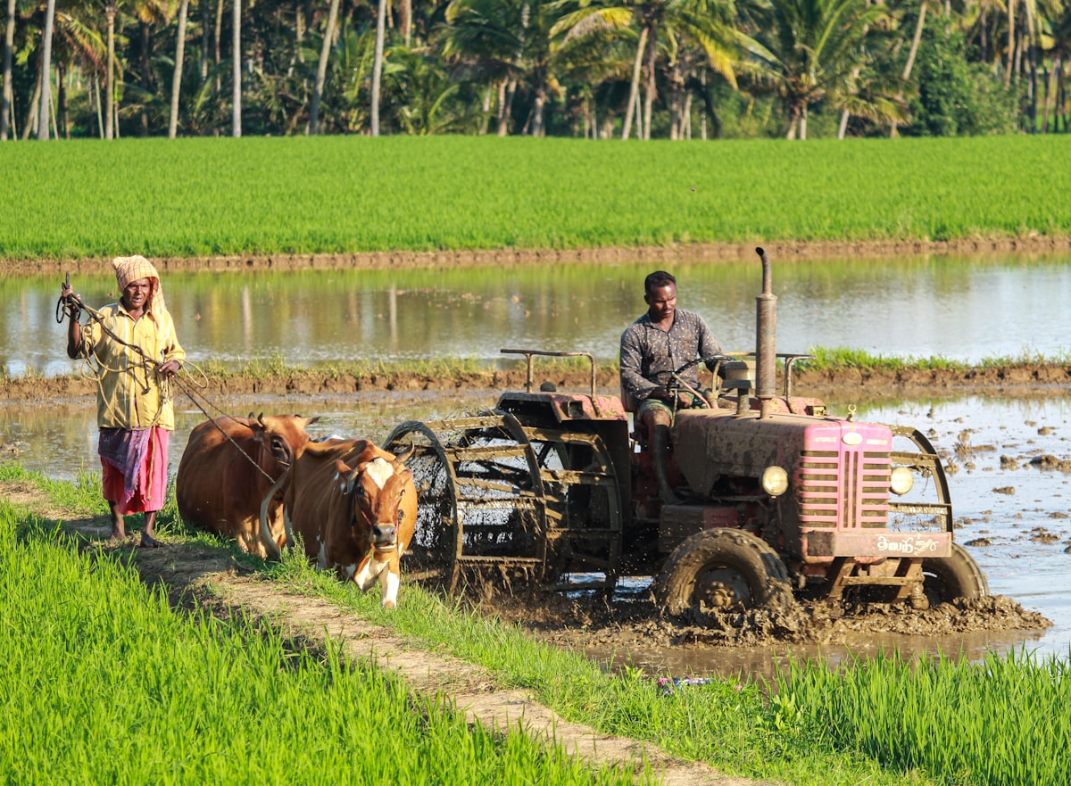 The Future is Green: A Complete Guide to Sustainable Agro Farming