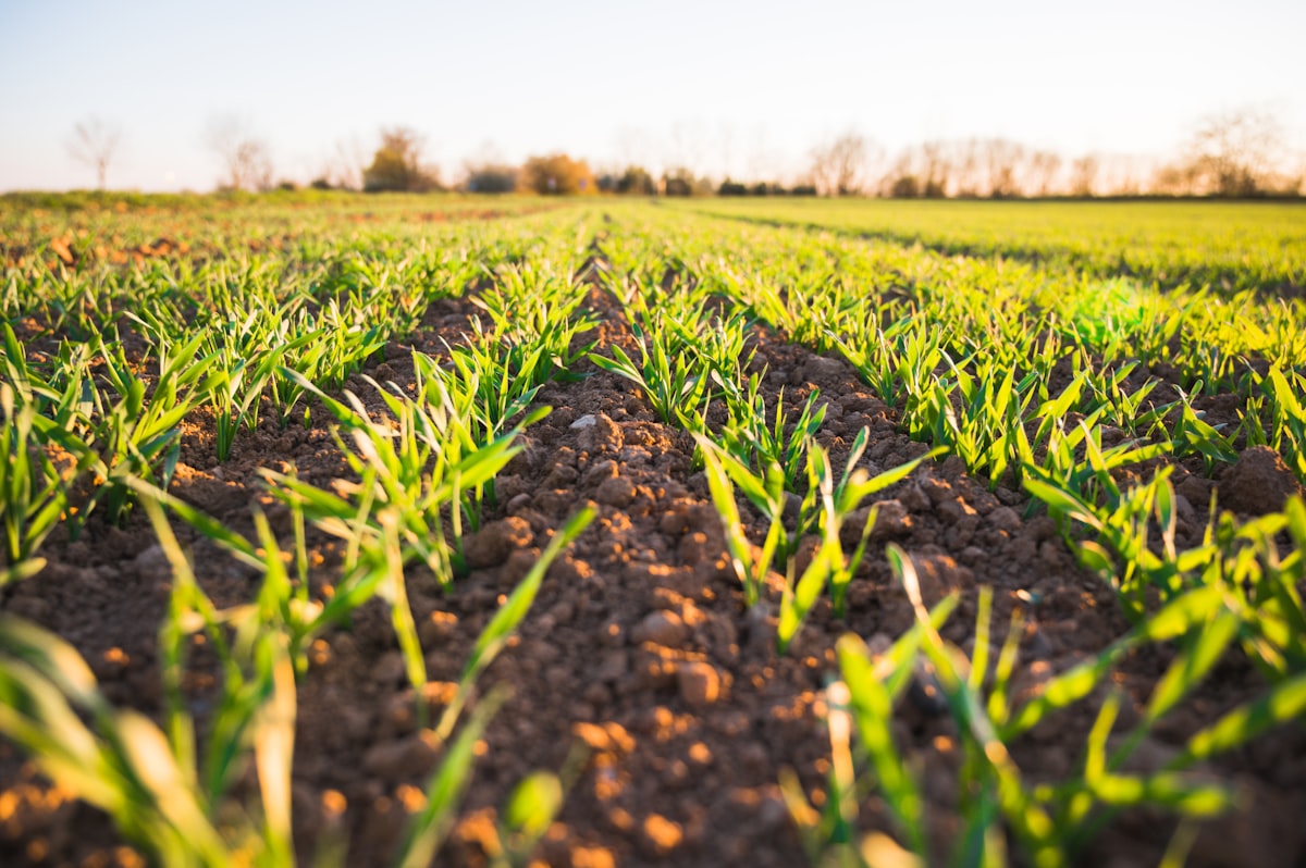 caling Your Agribusiness: Advanced Strategies for Modern Commercial Agro Farming